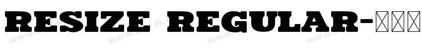 Resize regular字体转换